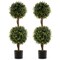 Green Artificial Topiary Trees Set of 2 with Birch Wood Trunk and Moss Base
